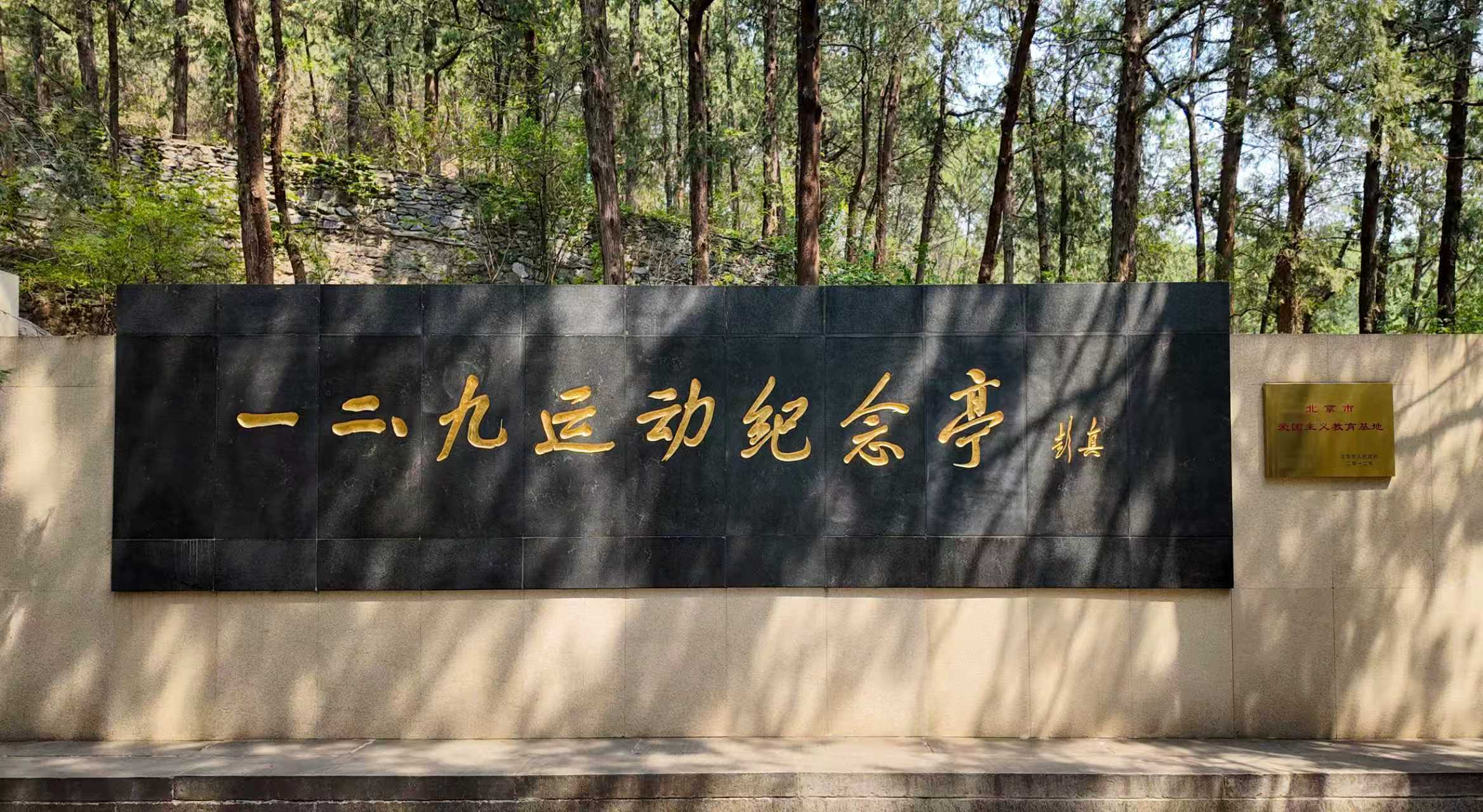 铭记“一二·九”精神 凝聚奋进力量