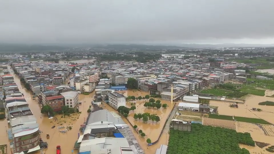 微信图片_2026-08-14_173234_768.png